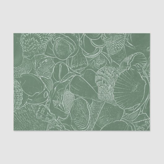 Zee Shell Beach Green White Decoupage Tissuepapier (Voorkant)