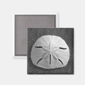 Zee Shell Beach Magnet Sand Dollar Magneet (Voorkant / Achterkant)