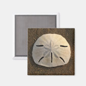 Zee Shell Beach Magnet Sand Dollar Magneet (Voorkant / Achterkant)