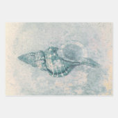 Zee Shell Blauwgroen Beige  Ocean Beach Textuur Inpakpapier Vel (Voorkant 2)