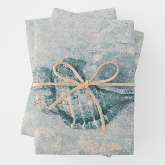Zee Shell Blauwgroen Beige  Ocean Beach Textuur Inpakpapier Vel (In situ)