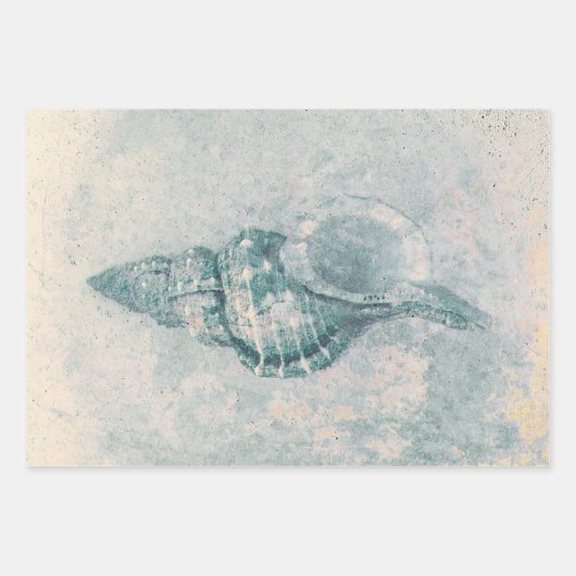 Zee Shell Blauwgroen Beige  Ocean Beach Textuur Inpakpapier Vel (Voorkant)