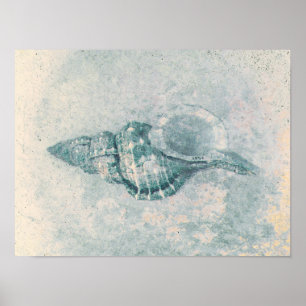 Zee Shell Blauwgroen Beige Ocean Beach Textuur Poster