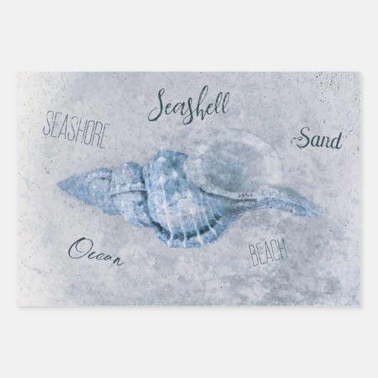Zee Shell Blue Antiek Beach Ephemera Inpakpapier Vel (Voorkant 3)