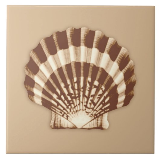 Zee Shell - bruin en beige Tegeltje (Voorkant)