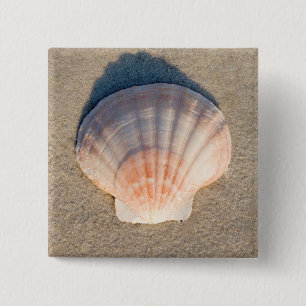 Zee Shell dat op zandstrand wetend Vierkante Button 5,1 Cm