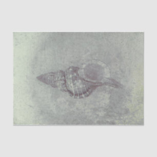 Zee Shell Grey  Ocean Beach Textuur Tissuepapier