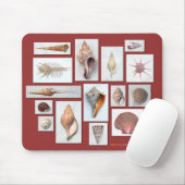 Zee Shell Muismat (Met muis)