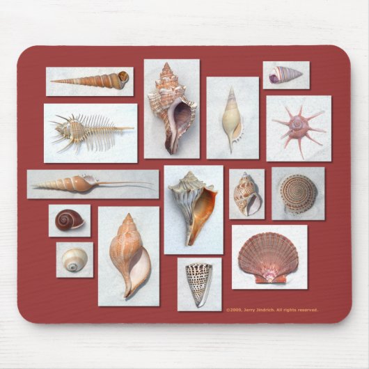 Zee Shell Muismat (Voorkant)