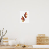 Zee Shell no.5 Beach Decor Art Print (Keuken)