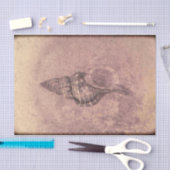 Zee Shell Ocean Beach Grunge Texture Tissuepapier (Craft)