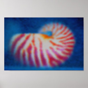 Zee Shell Poster