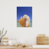 Zee Shell Sluiten Poster (Keuken)