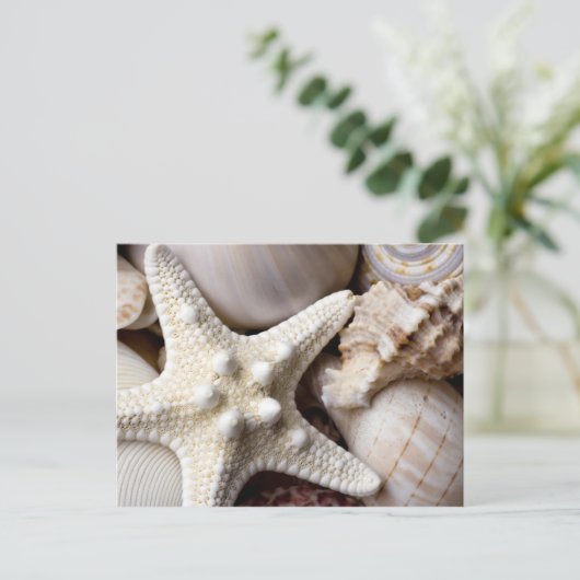 Zee Shell Starfish Background - Beach Shells Briefkaart (Staand voorkant)