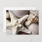 Zee Shell Starfish Background - Beach Shells Briefkaart (Voorkant / Achterkant)