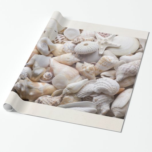 Zee Shell & Starfish Background - Beach Shells Cadeaupapier (Uitgerold)
