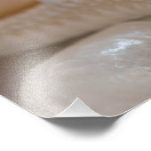 Zee Shell & Starfish Background - Beach Shells Foto Afdruk (Hoek)