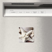 Zee Shell Starfish Background - Beach Shells Magneet (Insitu (Vaatwasser))