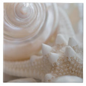 Zee Shell & Starfish Background - Beach Shells Tegeltje (Voorkant)