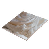 Zee Shell & Starfish Background - Beach Shells Tegeltje (Zijkant)