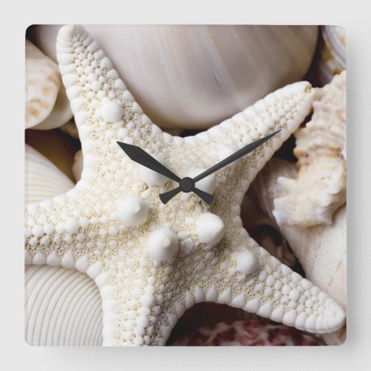 Zee Shell Starfish Background - Beach Shells Vierkante Klok (Voorkant)
