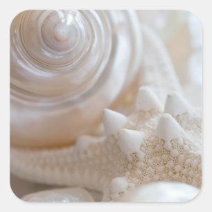 Zee Shell & Starfish Background - Beach Shells Vierkante Sticker