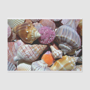 Zee Shell Tissue Paper - HAMbyWG Tissuepapier