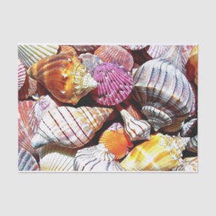 Zee Shell Tissue Paper - HAMbyWG Tissuepapier