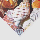 Zee Shell Tissue Paper - HAMbyWG Tissuepapier (Detail)