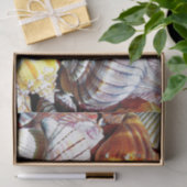 Zee Shell Tissue Paper - HAMbyWG Tissuepapier (Geschenk)