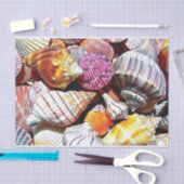Zee Shell Tissue Paper - HAMbyWG Tissuepapier (Craft)