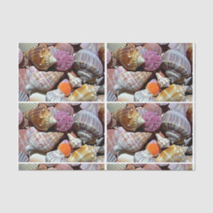 Zee Shell Tissue Paper - HAMbyWG Tissuepapier