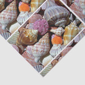 Zee Shell Tissue Paper - HAMbyWG Tissuepapier (Detail)