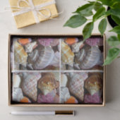 Zee Shell Tissue Paper - HAMbyWG Tissuepapier (Geschenk)