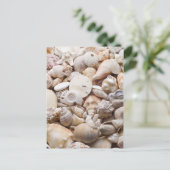 Zee Shell van Florida - Achtergrond - Aangepast ba Briefkaart (Staand voorkant)