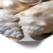 Zee Shell van Florida - Achtergrond - Aangepast ba Poster (Hoek)