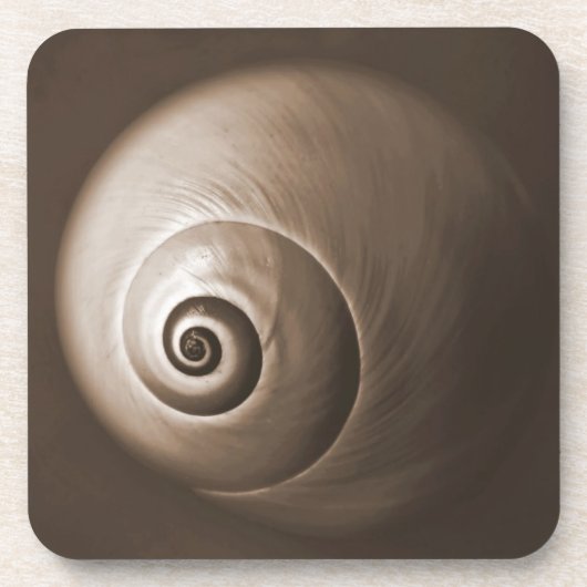 Zee Slak Nautilus Shell Square Onderzetter (Voorkant)