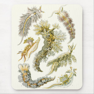  Zee Slugs en Slakken door Ernst Haeckel Muismat