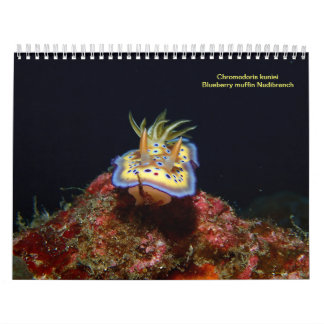 Zee Slugs Kalender
