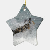 Zee Spray Keramisch Ornament (Links)