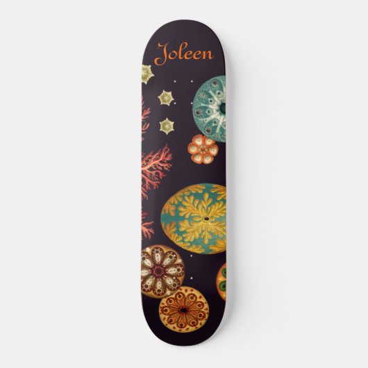 Zee-squirt Remix Skateboard (Voorkant)