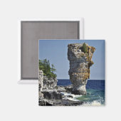 Zee stack, Flowerpot Island, Bruce Peninsula, Onta Magneet (Voorkant / Achterkant)