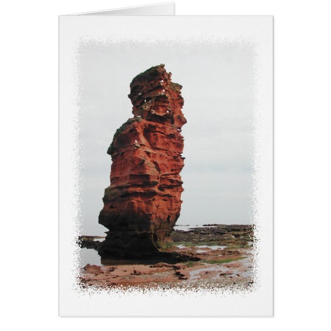 Zee Stack Rock. Ladram Bay, Devon. VK. (Voorkant)