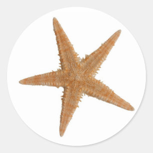 Zee ster ronde sticker