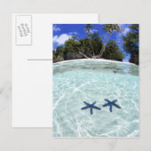 Zee sterren, Rock Islands, Palau 2 Briefkaart (Voorkant / Achterkant)