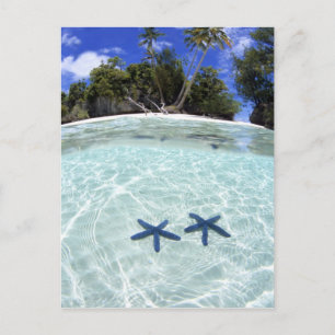 Zee sterren, Rock Islands, Palau 2 Briefkaart
