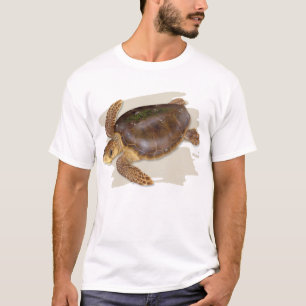 Zee T-shirt met vuurkop