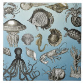 Zee Tegeltje (Voorkant)