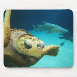 Zee Turtle and Shark Mousepad Muismat