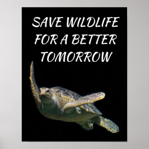 Zee Turtle, bespaar het wild voor een betere toeko Poster